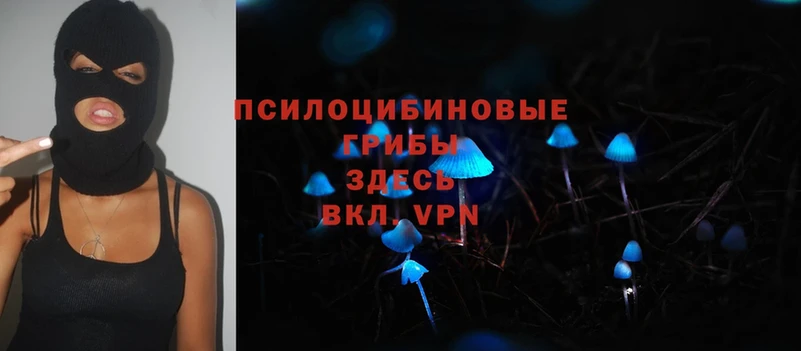 Галлюциногенные грибы MAGIC MUSHROOMS  сайты даркнета как зайти  Искитим 